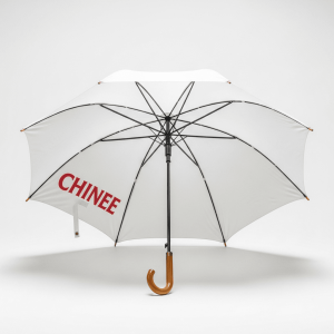 Customizable OEM/ODM Promotional Umbrella for Business and Events