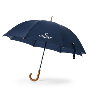 Customizable OEM/ODM Logo Umbrella for Commercial and Personal Use with Premium Canopy