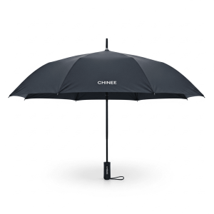 Customized Logo Professional Business Umbrella for Outdoor Industry