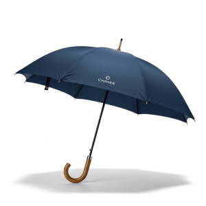 Customizable Business-Grade Umbrellas for Corporate and Retail Industries
