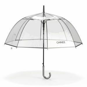 Customizable Transparent Bubble Umbrella for Retail and Promotional Use
