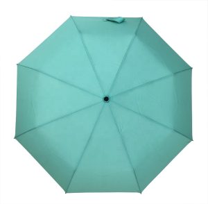 CHINEE Auto Open Close Mini Compact Travel Umbrella
