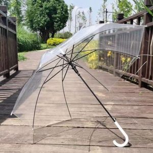CHINEE Factory Custom 8K 21 Inch Transparent Multi Color Windproof Straight Umbrella for Logo AD Business Gifts Rain