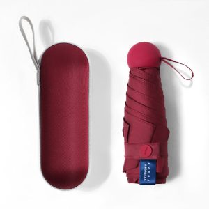 CHINEE Good Quality Popular Style Umbrella Capsule Umbrella Mini Umbrella in Box with logo