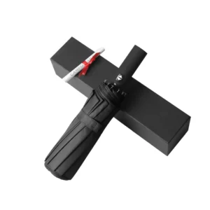 10-Rib Iron-Frame Automatic Open-Close Folding Umbrella, Windproof Compact Travel Umbrella for Adults