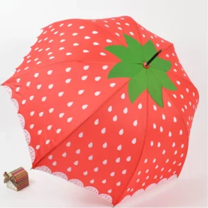 1093 Auto Open Bubble Umbrella Factory Supply 190T 84cm Iron Tube All-in-One Dome Shaped
