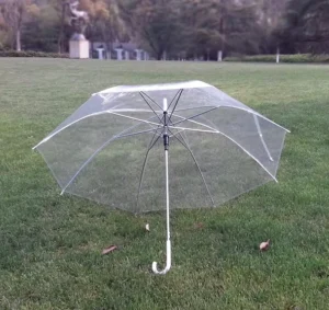 23 Inch Transparent Plastic Umbrella with White Handle, POE Material