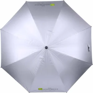 30 Inch Golf Umbrella in Green and Silver with UV Protection