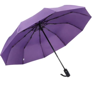 Auto Opening 210T Pongee Waterproof Compact Travel Folding Umbrella with Custom Logo