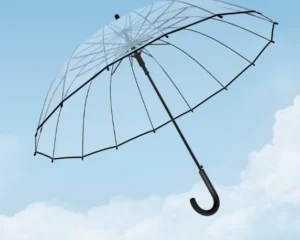 Automatic Clear Long Handle Bubble Umbrella for Rain and Photography
