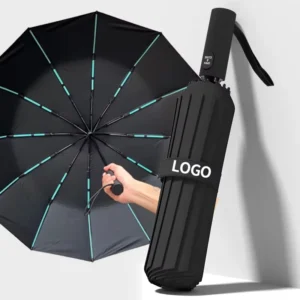 Automatic Compact Foldable Windproof Travel Umbrella