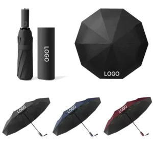Automatic Folding Windproof Rainproof Umbrella with Tube Packaging, China Factory