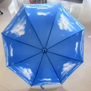 Blue Sky and White Cloud Pattern Stick Umbrella, Polyester, Plastic Handle