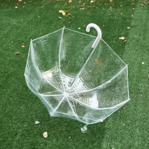 China Factory Windproof Clear Bubble Transparent Women’s Large Dome POE Umbrella