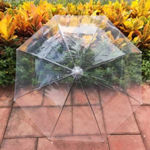 China Umbrella Factory POE White-Handle Clear Umbrella