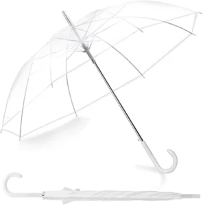 Clear Dome Rain Umbrella