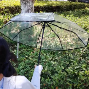 Clear Transparent Folding Umbrella, Semi-Automatic, Outdoor, Adult Gift