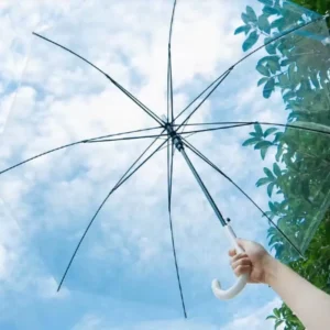 Clear Transparent Long-Handle Rain Umbrella