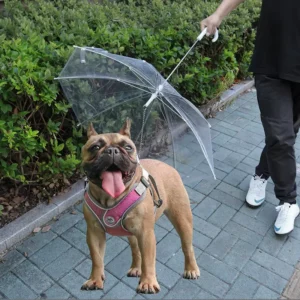 Clear Waterproof Dog Umbrella with Adjustable Leash for Small Dogs Self-Assembly