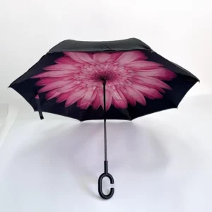 Colorful Double-Layer Windproof Inside-Out C-Shape Handle Inverted Reverse Umbrella