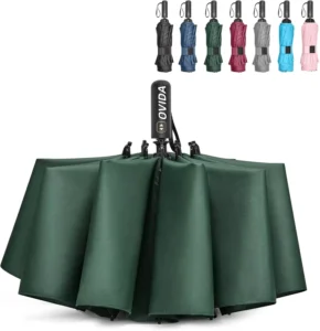 Compact Reverse Travel Umbrella, 10 Ribs, Windproof, Double Canopy, Automatic Folding Umbrella