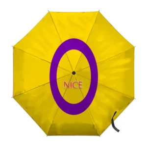 Custom Gay Rainbow Intersex Flag
