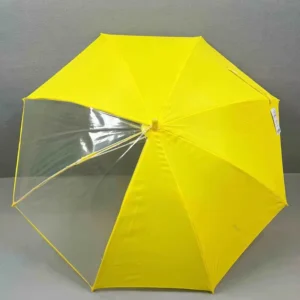 Custom OEM Kids Modern Transparent Visible Window Safety Walking 8 Ribs Straight Long Handle Automatic Opening Umbrella