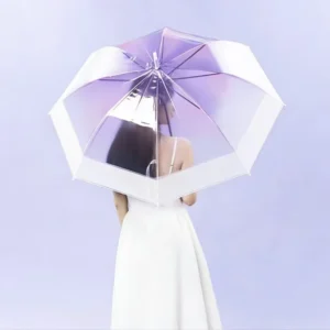 Custom OEM Modern Fully Automatic Gradient Color POE Plastic Transparent 8-Rib Straight Long Handle Umbrella