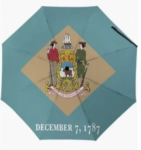 Delaware US State Flag Umbrella, Waterproof, Auto Open and Close, UV Coating
