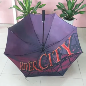 Digital Printing Double Layer Quality Golf Umbrella Heat Transfer Umbrella with Picture Printing Inside Golf Umbrella
