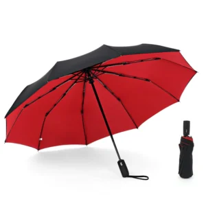 Folding Windproof 10K Double Layer Polyester Umbrella