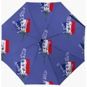 France Flag Pattern Fully Automatic Folding Umbrella