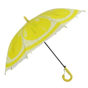 Fruit Children’s Straight Pole POE Transparent Umbrella