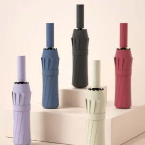 Fully Automatic 12-Rib Large Thickened Foldable Sun and Rain Umbrella