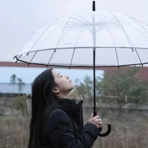 Japanese Style Simple Transparent Rain Umbrella Automatic Curved Handle Straight Rod PVC Steel Rubber for Adults