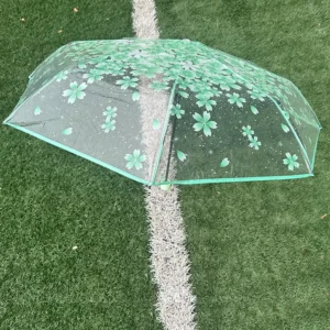 Korean Transparent Frosted Kids Umbrella Eco-Friendly Windproof Straight Custom Logo Printing Manual Control