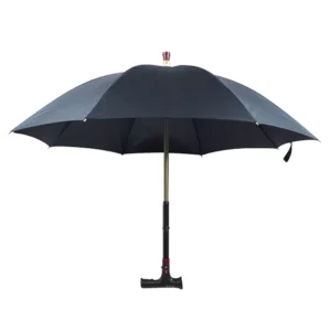 LED Handle Walking Stick Umbrella with Horn