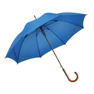 Large Raines Wooden Handle Umbrella