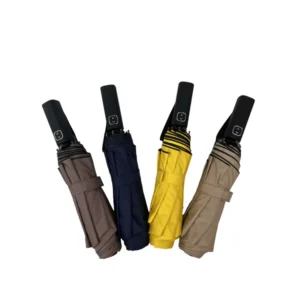 Man Automatic Open and Closed Display Umbrella