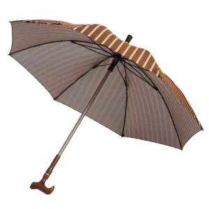 Men’s Large Double-Rod Long-Handle Wind-Resistant Manual Cane Umbrella