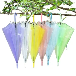 Men’s Women’s Lightweight Clear PE Bubble Dome Custom Logo Umbrella for Wedding Decoration