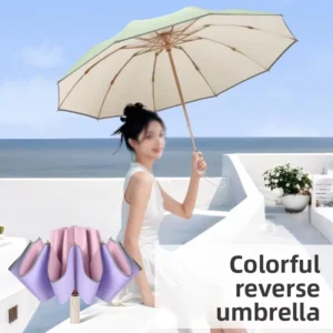 Modern Minimalist Folding Sun Protection UV-Proof 10-Bone Reverse Color Glue Fully Automatic Umbrella