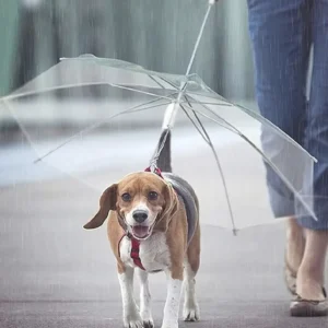 Modern Travel Pet Umbrella Leash Rainproof Snowproof for Small Dogs Adjustable Manual Opening
