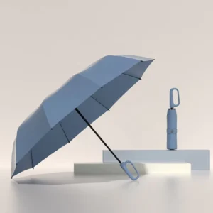 Automatic Folding Umbrella for Men and Women, Wind Resistant, Looplock, Oversized for Sunny and Rainy Days