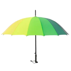 Rainbow 16-rib Large Long Handle Double-person Straight Umbrella