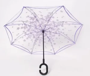 Reverse Double-Layer Transparent Straight Umbrella with Handle