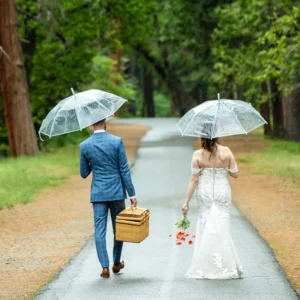 Simple Semi-Automatic Clear Umbrella with Logo