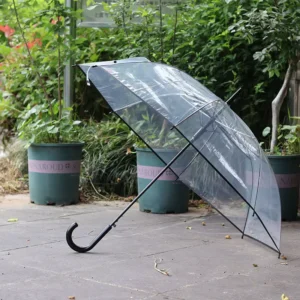 Single-Layer Clear Umbrella for Waterproofing