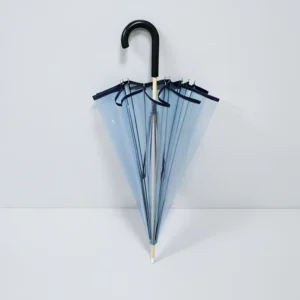 Transparent Automatic 12-Rib Straight Umbrella with Long Handle and Minimalist Design