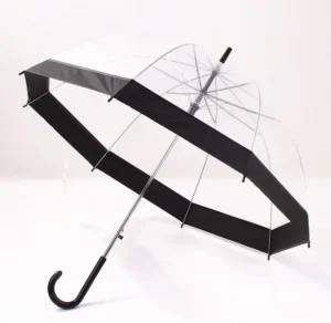Transparent Straight Korean-Style Clear Mushroom Bubble Dome Umbrella With Colored Edges